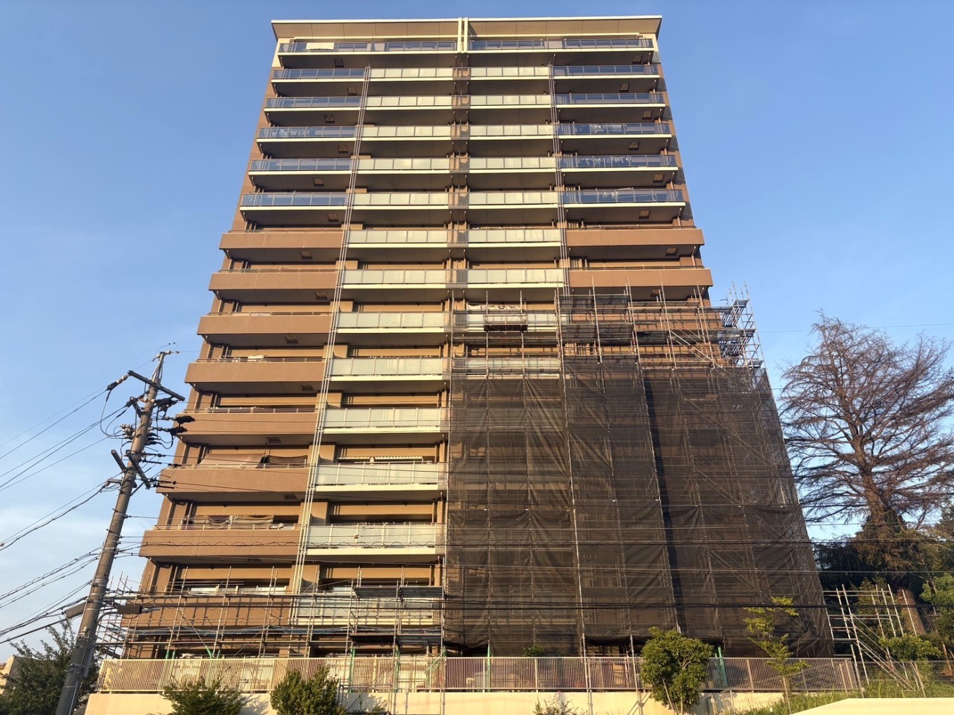 足場工事 順調に進行中!