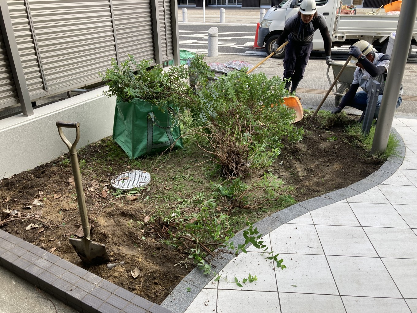 施工前 植栽撤去